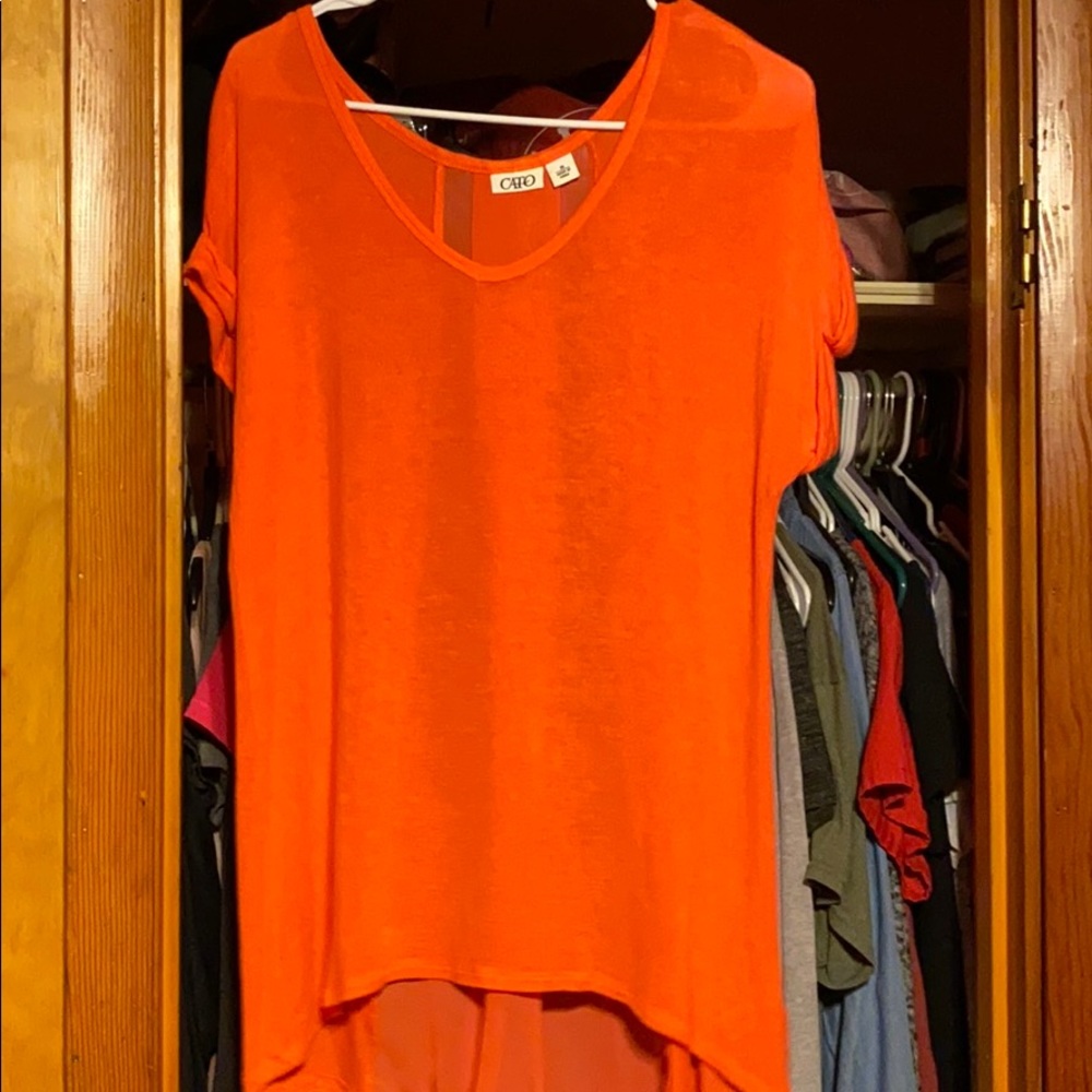 Cato shirt